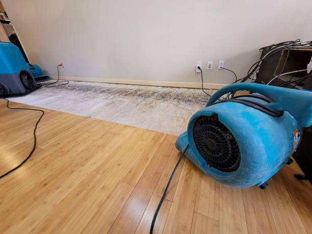 Professional Structural Drying technician working in Teaneck, NJ